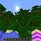 Minecraft 1.8 seeds: Jungle biome seeds